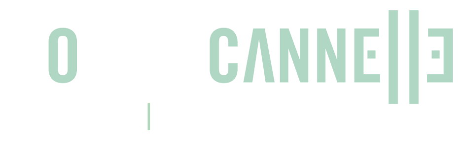 Pomme Cannelle | Philippe Sudre | Graphiste freelance Lyon | Print & Web