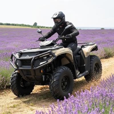 Whisk 39c8857ab31c9ac9d9e4e59ba7612f6bdr