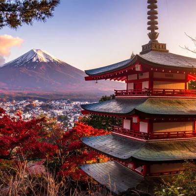 Firefly Arakura Fuji Sengen Jinja Shrine 188199