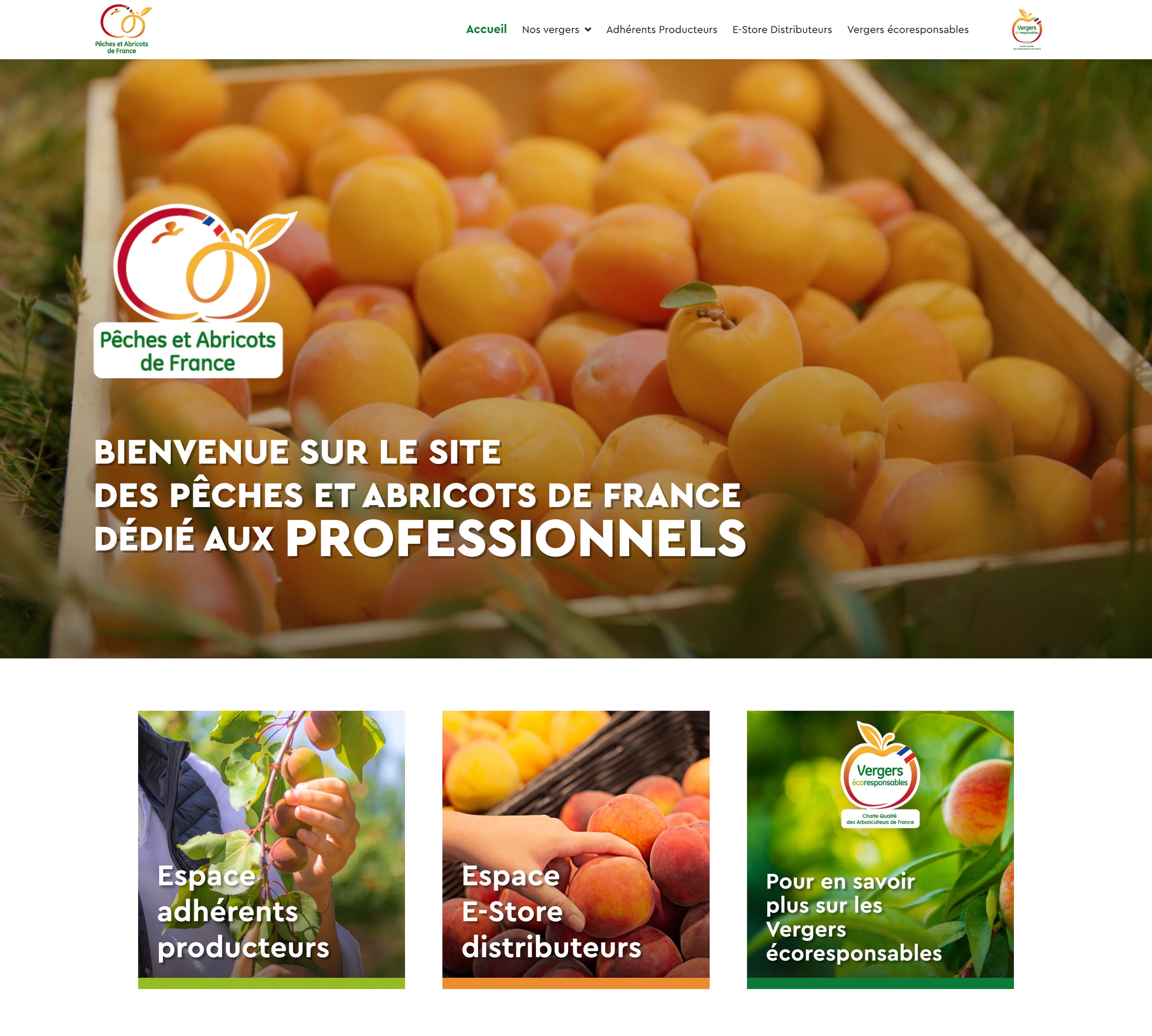 capture site internet aop pêches et abricots de France