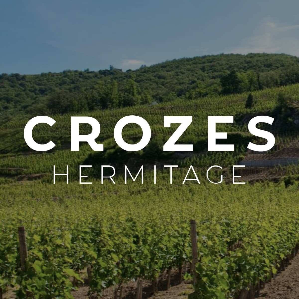 AOP CROZES-HERMITAGE